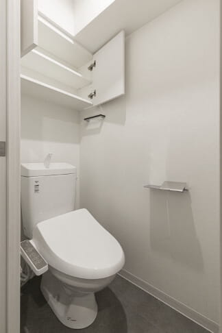 Built-in cupboard above toilet image